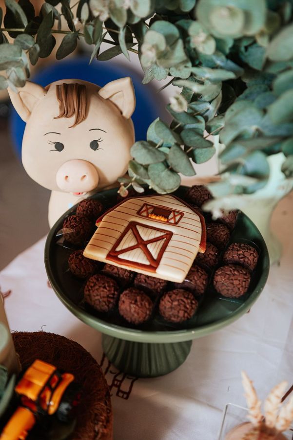 Biscoitos decorados tema fazendinha, com boneca porquinha